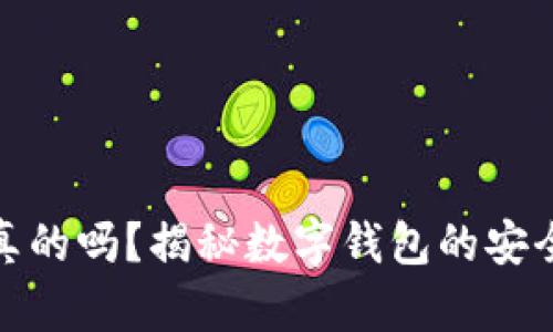 小狐狸钱包是真的吗？揭秘数字钱包的安全性与使用体验