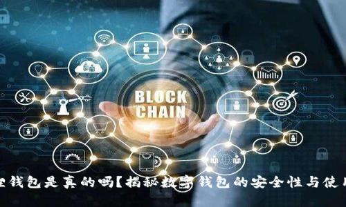 小狐狸钱包是真的吗？揭秘数字钱包的安全性与使用体验