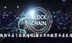 小狐狸币丢了能找回吗？解决你的数字币丢失难