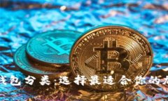 全面解析数字币钱包分类：选择最适合你的加密