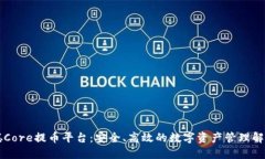 中本聪Core提币平台：安全、高效的数字资产管理
