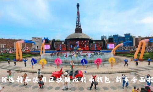 如何选择和使用区块链比特币钱包：新手全面指南