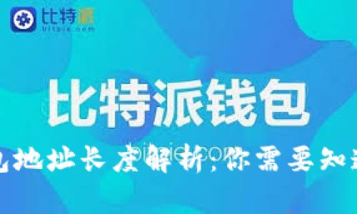 : 区块链钱包地址长度解析：你需要知道的所有细节