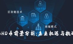 BHD币前景分析：未来机遇与挑战