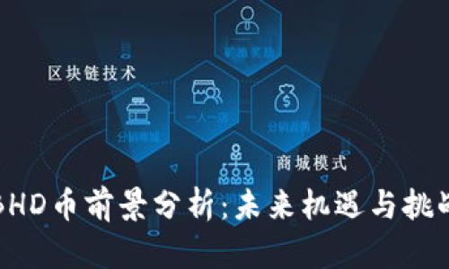 BHD币前景分析：未来机遇与挑战