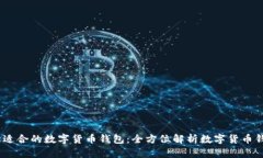 如何选择最适合的数字货币钱包：全方位解析数