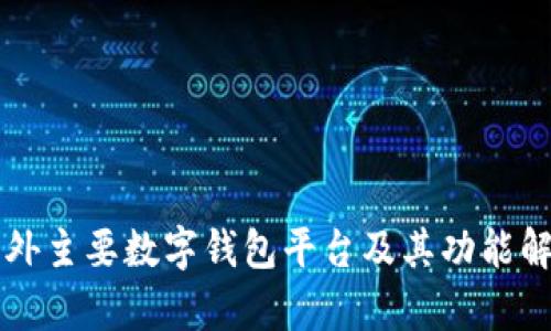 国外主要数字钱包平台及其功能解析