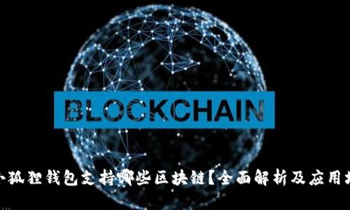 : 小狐狸钱包支持哪些区块链？全面解析及应用场景