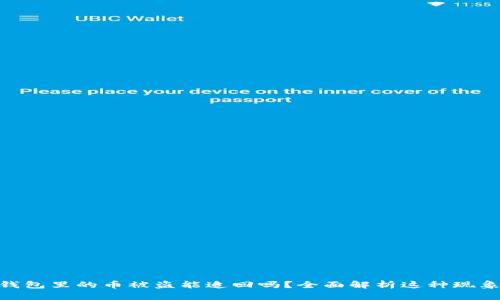 : 虚拟货币钱包里的币被盗能追回吗？全面解析这种现象及应对措施