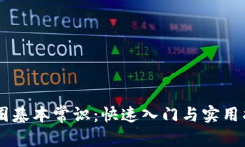 币圈基本常识：快速入门与实用指南