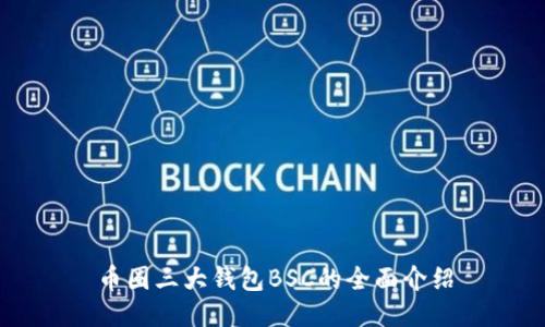 币圈三大钱包BSC的全面介绍