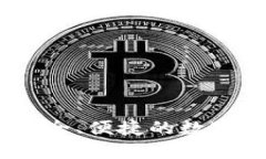 小狐狸钱包：安全、便捷的数字资产管理工具