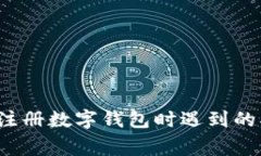 如何解决注册数字钱包时遇到的异常问题？