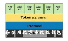 如何选择和使用数字币数据钱包：全面指南