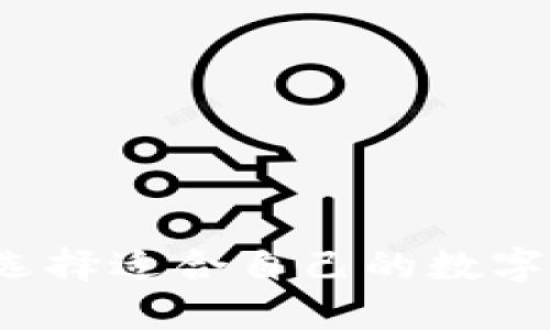 如何选择适合自己的数字钱包？