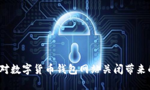 如何应对数字货币钱包网站关闭带来的困扰？