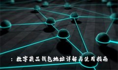 : 数字藏品钱包地址详解与使用指南