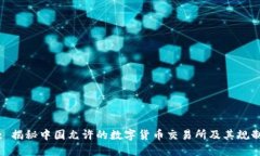 : 揭秘中国允许的数字货币交易所及其规制