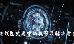 区块链钱包发展中的瓶颈及解决方案分析