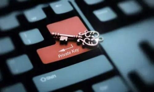 

探索数字货币大钱包的选择与优势