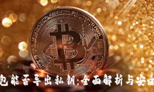  
观察钱包能否导出私钥：全面解析与安全性考量