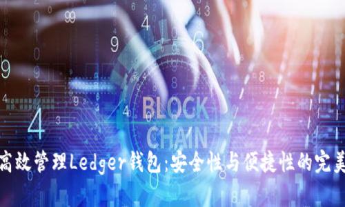 如何高效管理Ledger钱包：安全性与便捷性的完美结合
