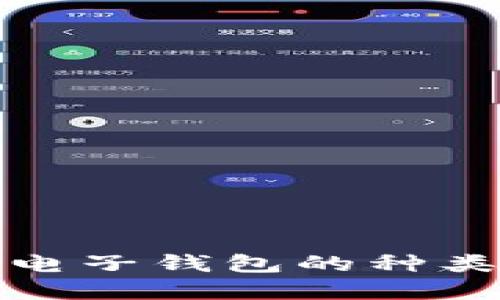 探索区块链电子钱包的种类与选择指南