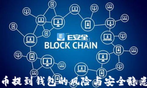 
虚拟币提到钱包的风险与安全隐患详解