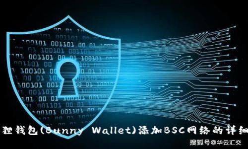 小狐狸钱包(Bunny Wallet)添加BSC网络的详细指南