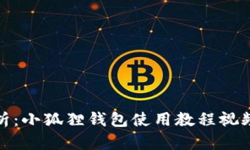 全面解析：小狐狸钱包使用教程视频完整版