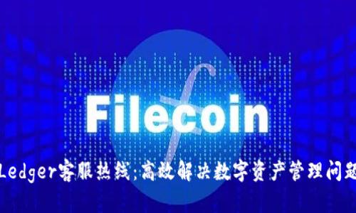 Ledger客服热线：高效解决数字资产管理问题