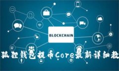 小狐狸钱包提币Core最新详细教程