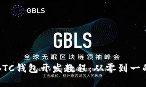 全面浅析BTC钱包开发教程：从零到一的实用指南