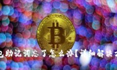 小狐狸钱包助记词忘了怎么办？详细解决方案与