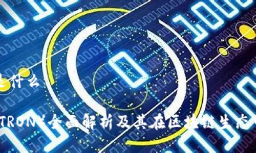 波场币是什么

波场币（TRON）全面解析及其在区块链生态中的应用