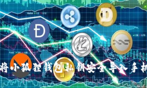 如何将小狐狸钱包私钥安全导入手机应用