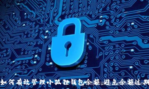   
如何有效管理小狐狸钱包余额，避免余额过期