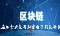 全面解析：在加拿大使用加密电子钱包的优势与