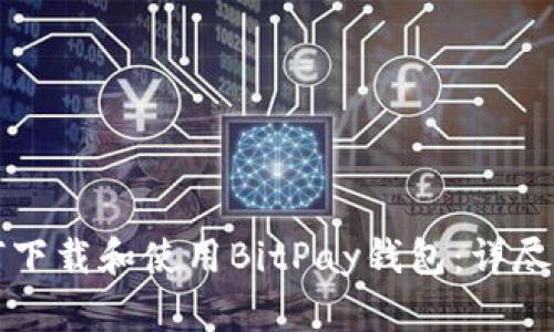 如何下载和使用BitPay钱包：详尽指南