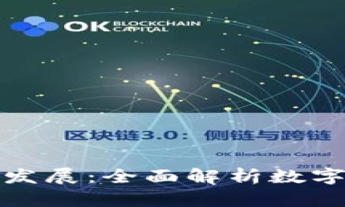 数字货币的未来与发展：全面解析数字货币的机遇与挑战