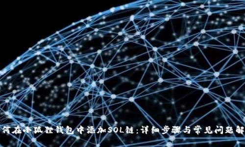 如何在小狐狸钱包中添加SOL链：详细步骤与常见问题解答