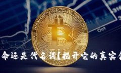 区块链：技术革命还是代名词？揭开它的真实含