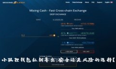 小狐狸钱包私钥导出：安全还是风险的选择？