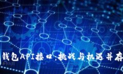 掌握区块链钱包API接口：挑战与机遇并存的技术