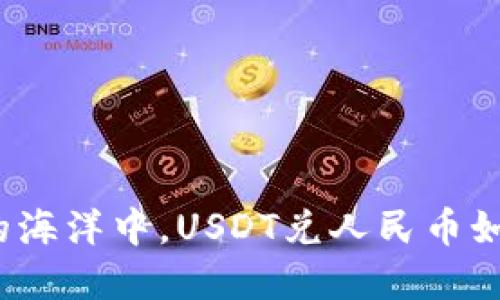 在数字货币的海洋中，USDT兑人民币如何驾驭波澜？