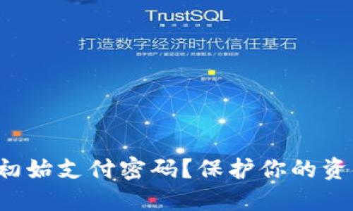 如何安全解除初始支付密码？保护你的资金不再是难题！