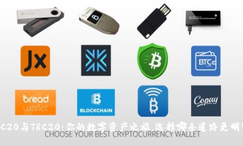ERC20与TRC20：你的数字资产之旅，选择哪条道路更明智？