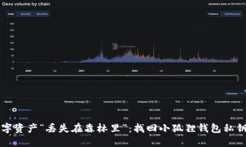 别让你的数字资产“丢失在森林里”：找回小狐狸钱包私钥的实用指南