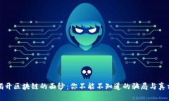 揭开区块链的面纱：你不能不知道的骗局与真相