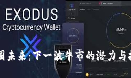 币圈未来：下一波牛市的潜力与挑战